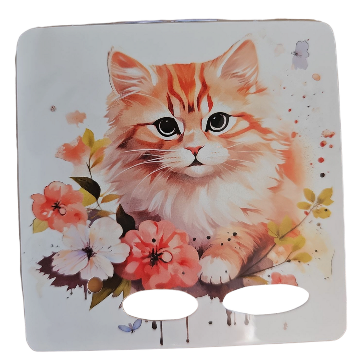 Katze