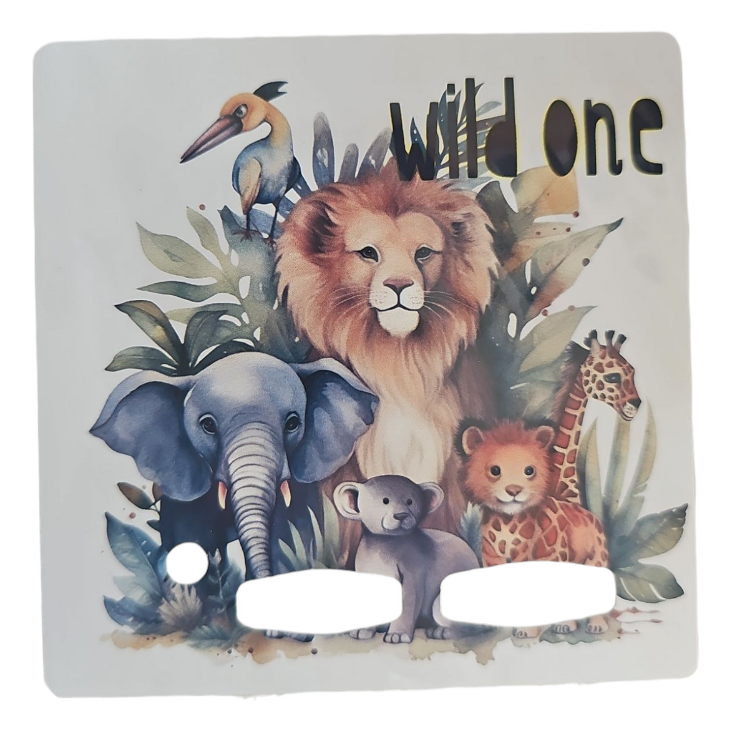 Safari